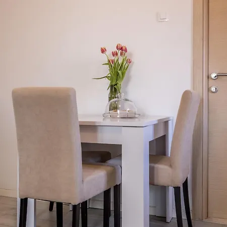 公寓 Split Central City Apartment 斯普利特